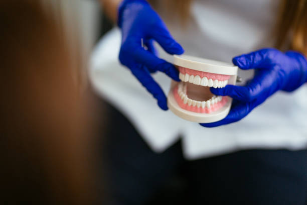 Professional  Holistic Dental Services in Hampton Beach, NH